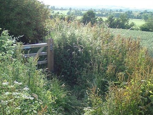 The Steppes Holiday Cottages Hereford Ngoại thất bức ảnh