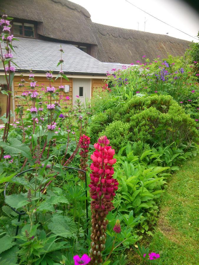 The Steppes Holiday Cottages Hereford Ngoại thất bức ảnh